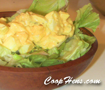 Egg Salad Recipe