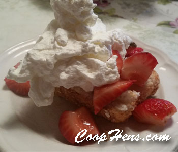 Strawberry Shortcake Recipe