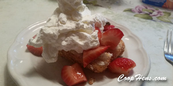 Strawberry Short Cake Recipe