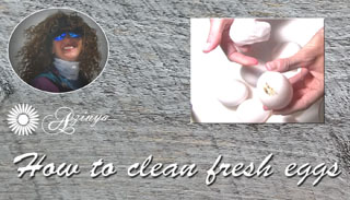 How to Clean & Store Fresh Hen Eggs